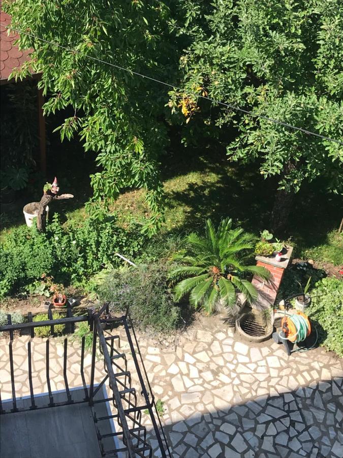 Apartamento Broj Jedan Soko Banja Exterior foto