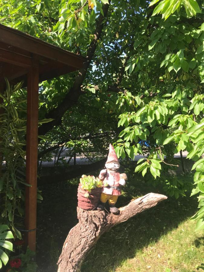 Apartamento Broj Jedan Soko Banja Exterior foto