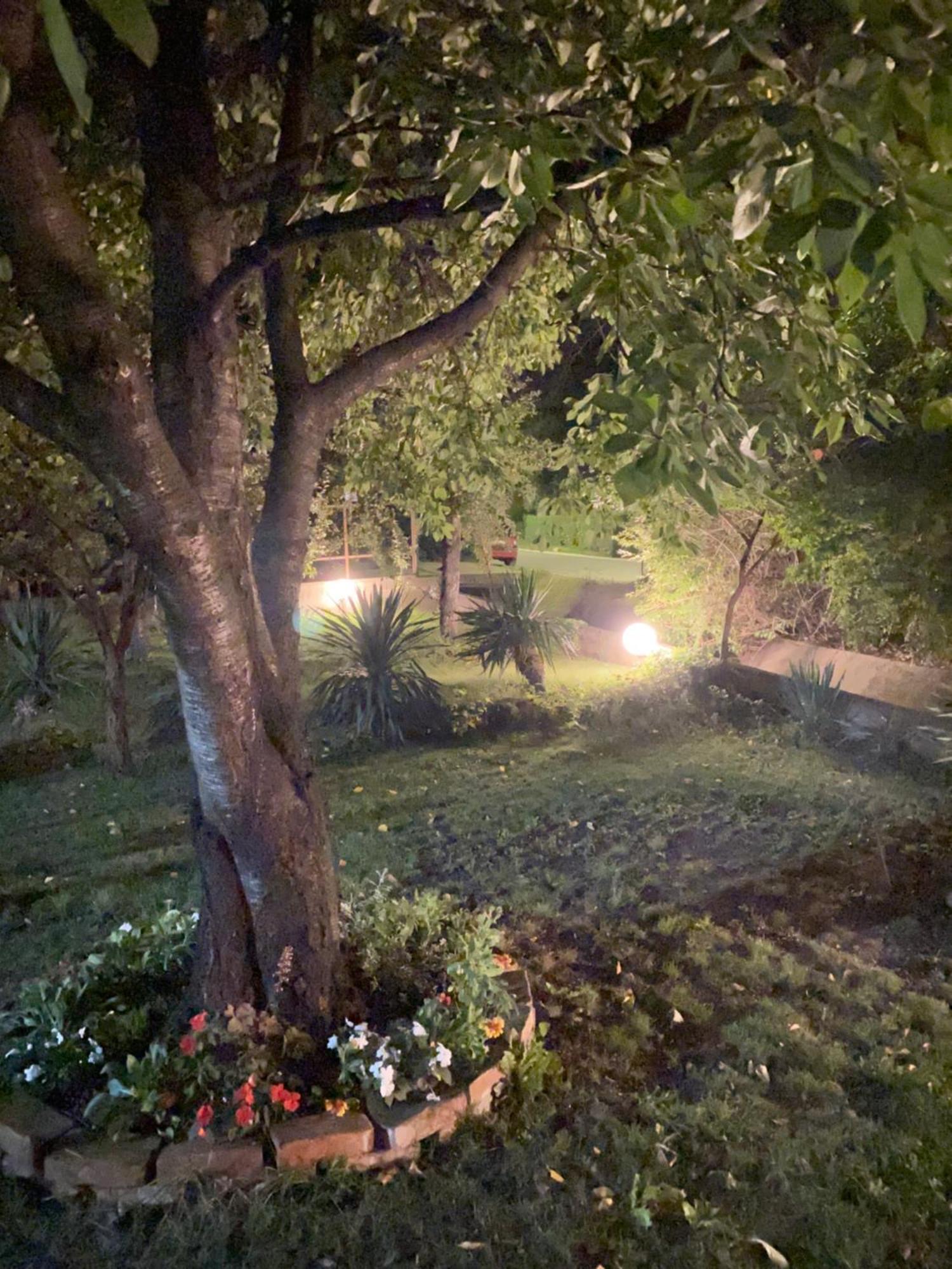 Apartamento Broj Jedan Soko Banja Exterior foto